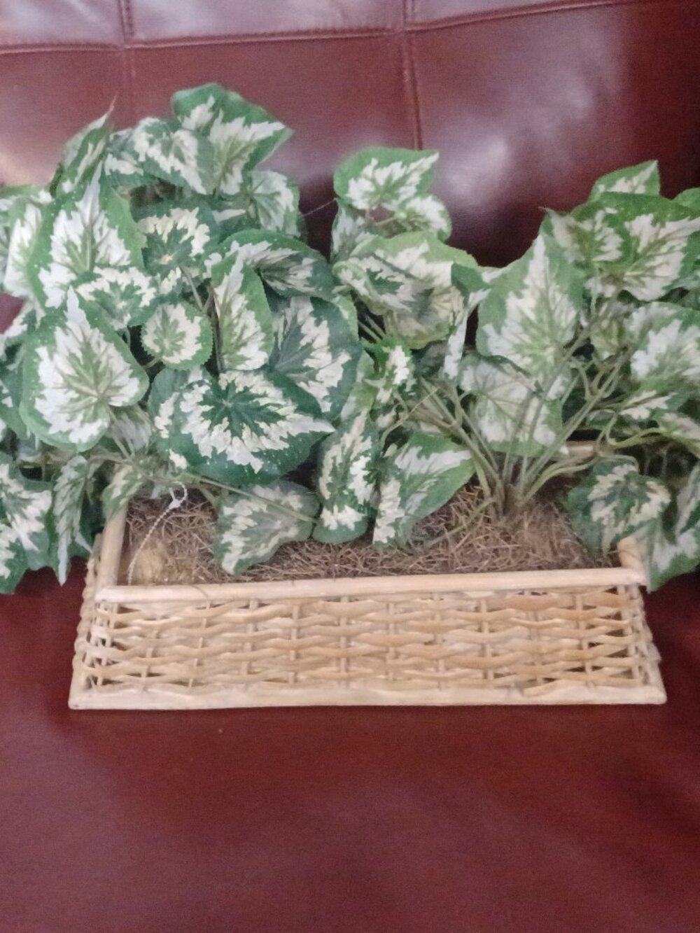 Artificial silk plant in a wicker basket
